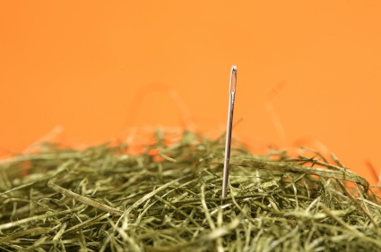 Searching for the Perfect Candidate: Desirables vs. Practicals