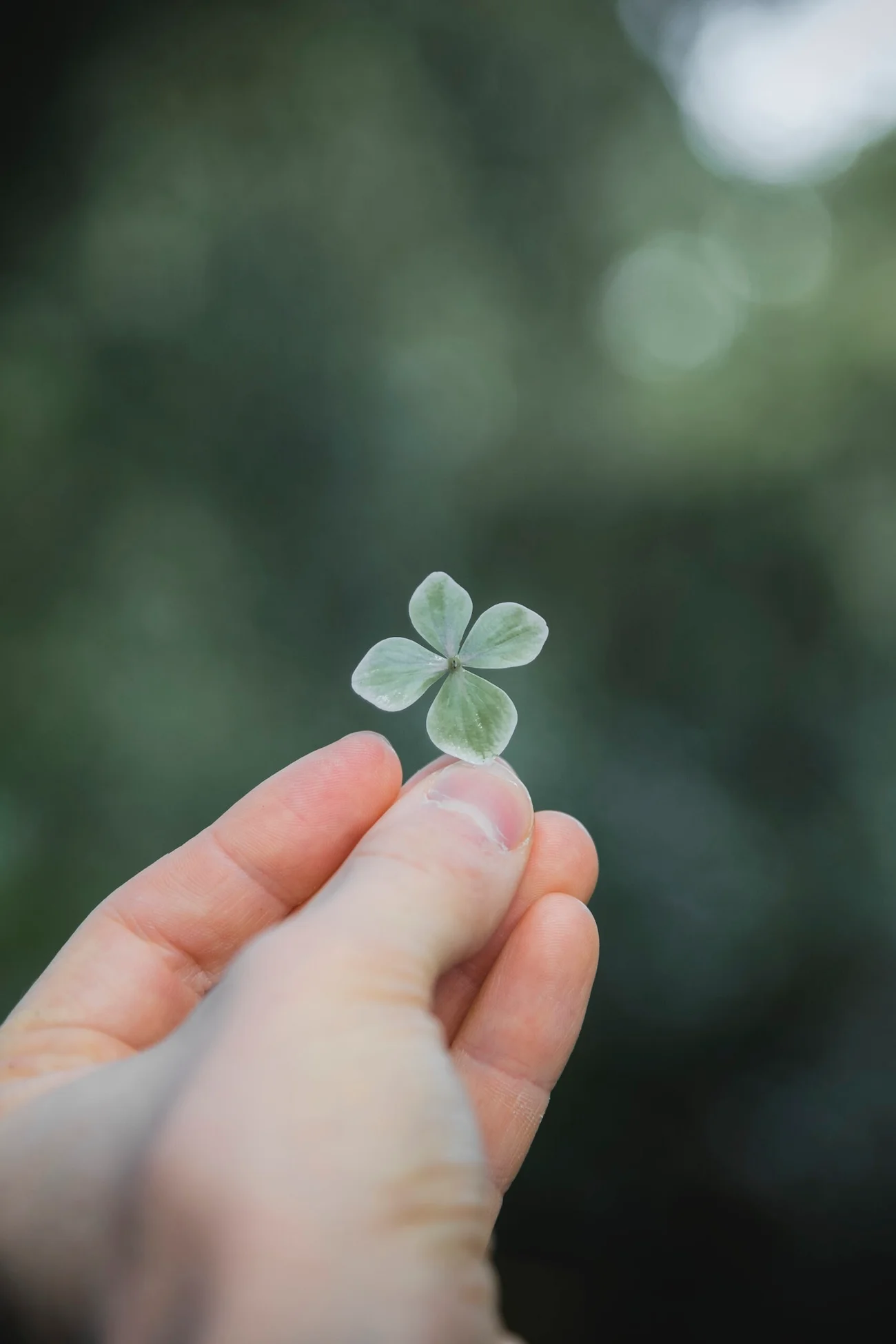 Don’t Rely on Luck for Your Next Hire