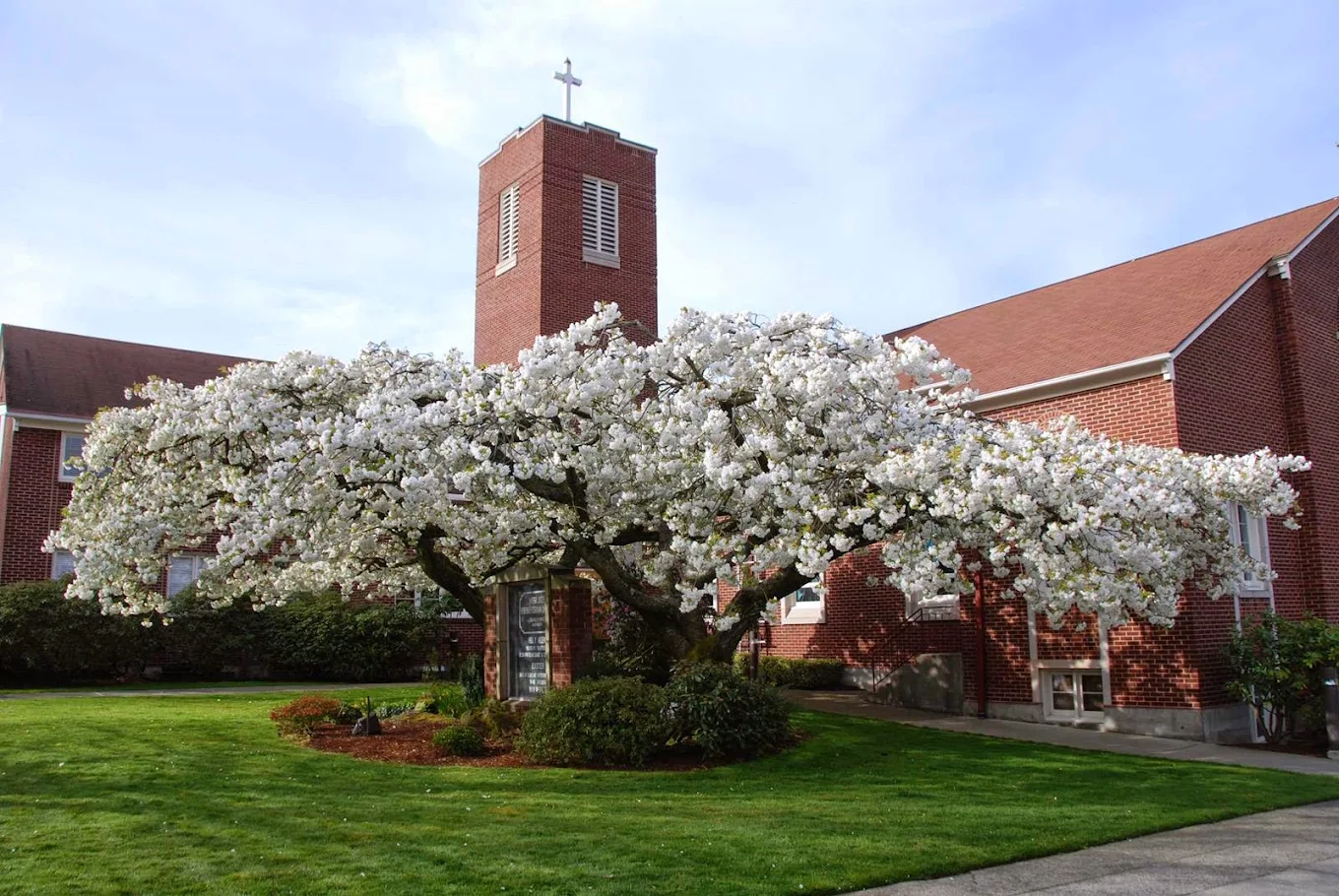 Alan Koenigsburg Joins West Side Presbyterian Church as Executive Director